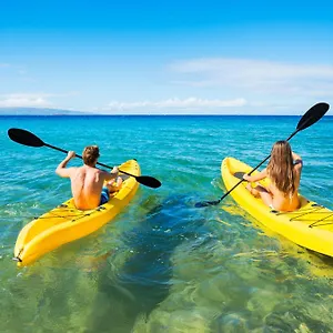 https://maalaea-banyans-203.hotelsinhawaii.org